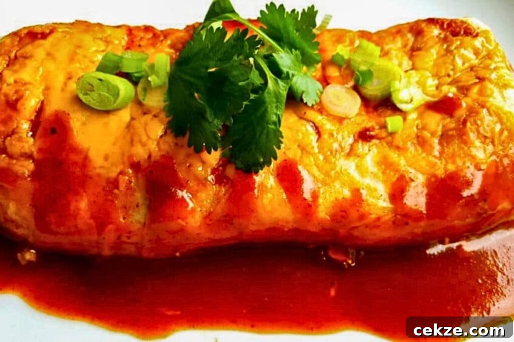 A enchilada sauce covered burrito on a plate.