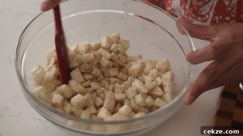 Mixing small apple pieces with sugar and cinnamon in a bowl