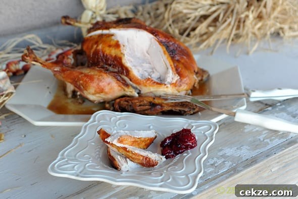 Brined and Grilled Turkey from Zestuous