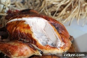 Brined and Grilled Turkey from Zestuous