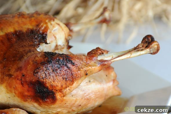 Brined and Grilled Turkey from Zestuous