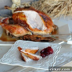 Brined and Grilled Turkey from Zestuous