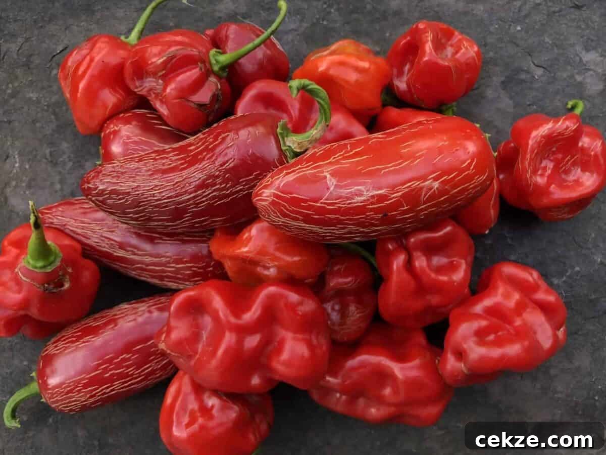 Homemade Hot Sauce Recipe: Quick, Flavorful Chili Sauce 2 Freshly harvested jalapeños and habaneros.