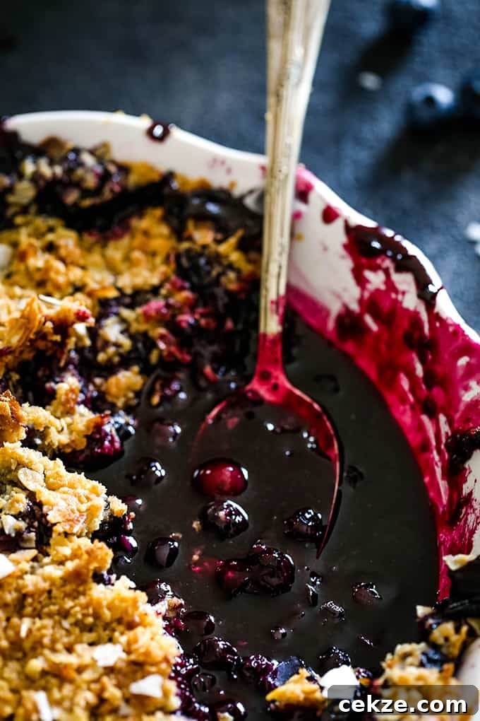 It takes just 15 minutes to prepare this delicious Coconut Blueberry Crisp featuring warm, bubbly blueberries capped by a crunchy cap of oats and coconut. A spoon full of blueberries in a dish of Coconut Blueberry Crisp.