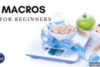Beginner’s Guide to Tracking Macros