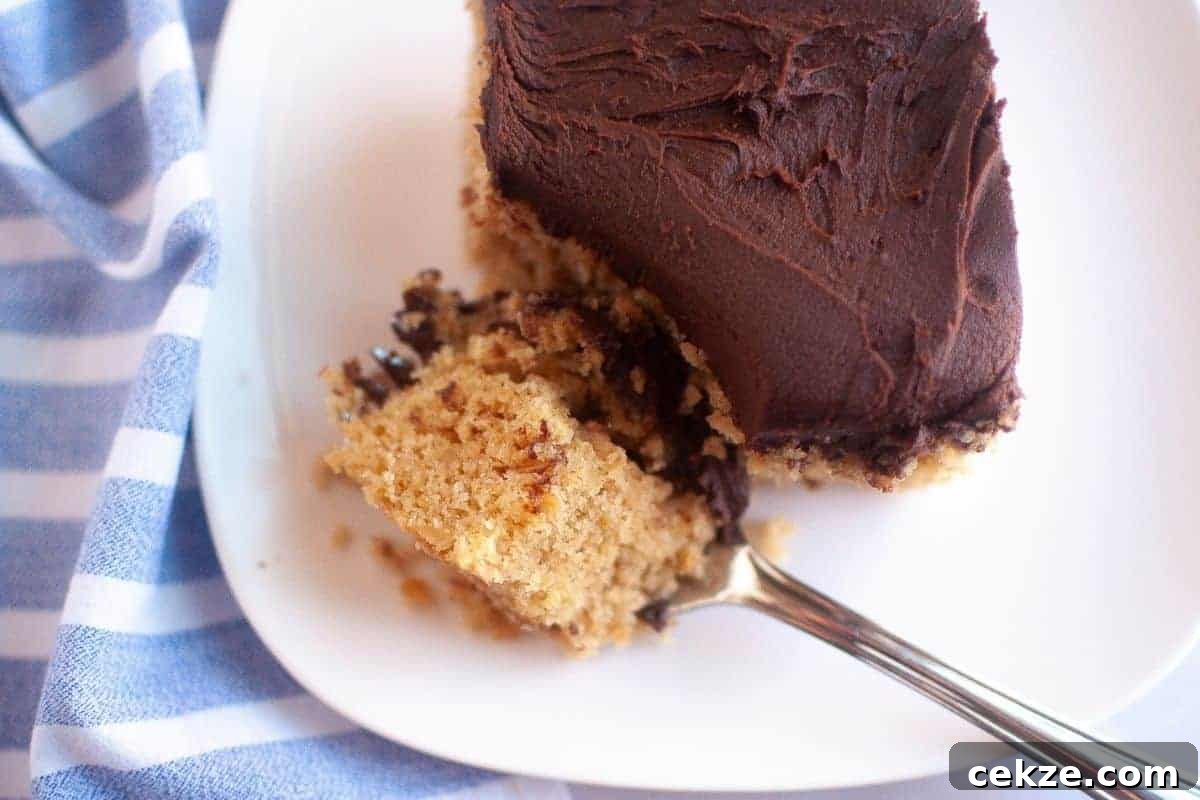 A close-up of a graham cracker cake with a chocolate frosting layer on top, placed on a white plate.
