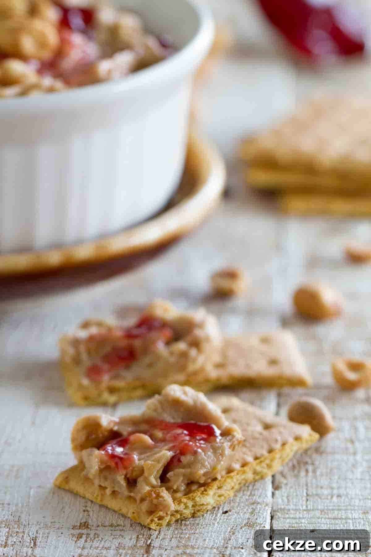 Graham cracker pieces topped with peanut butter and jelly dip.