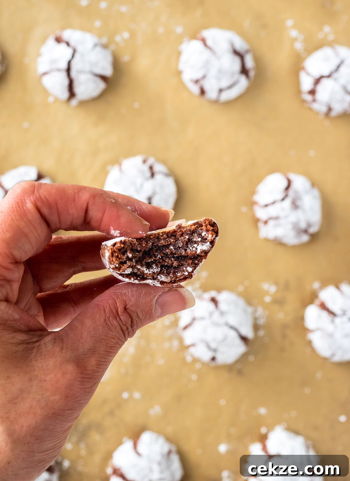 Chocolate amaretti cookie cut in half with inside of cookie exposed to show texture.