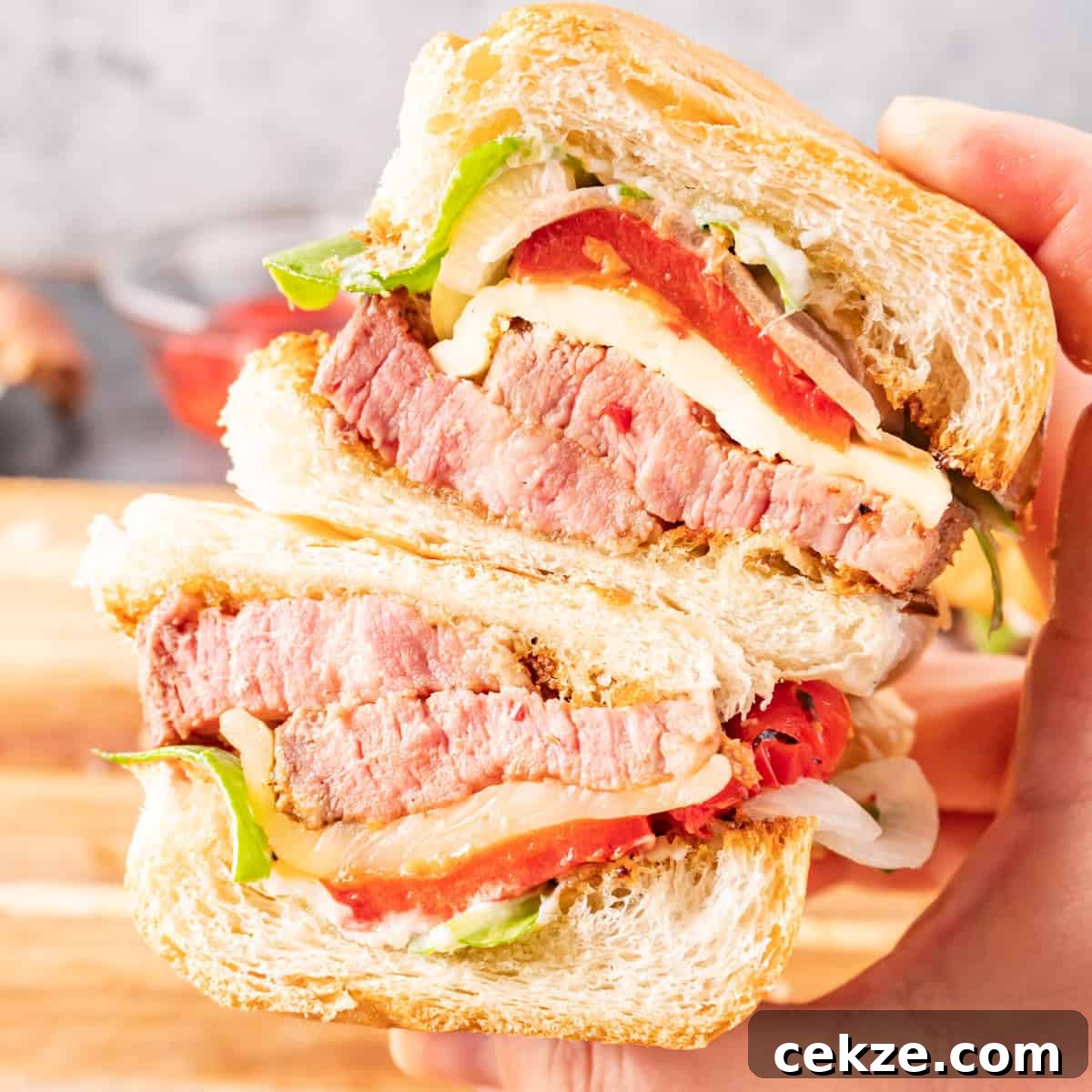 Tri Tip Sandwich