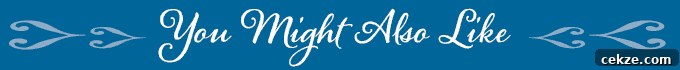 blue rectangle saying you might also like
