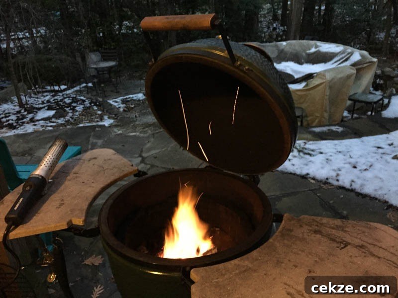 Big Green Egg ready for grilling
