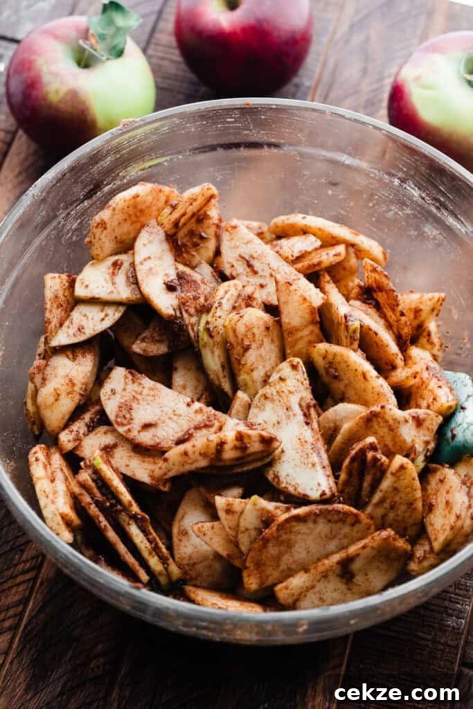 A bowl of sliced, spiced apples.