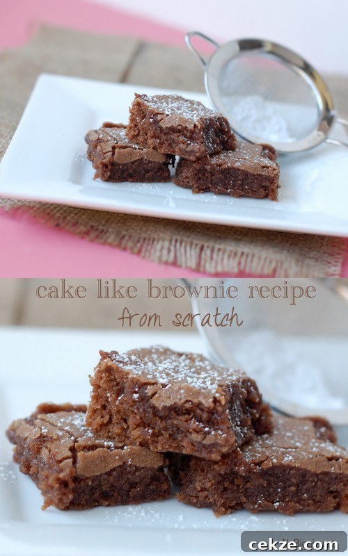 cake like brownie recipe from scratch | NoBiggie.net