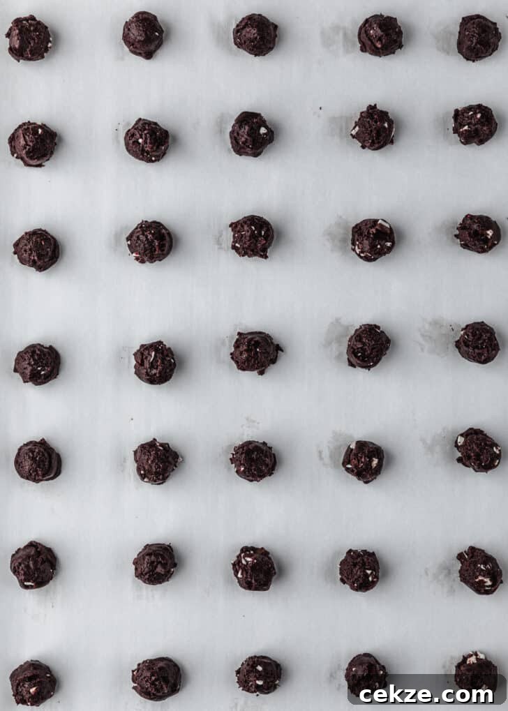 Rows of raw mini chocolate peppermint bark cookies on parchment paper.
