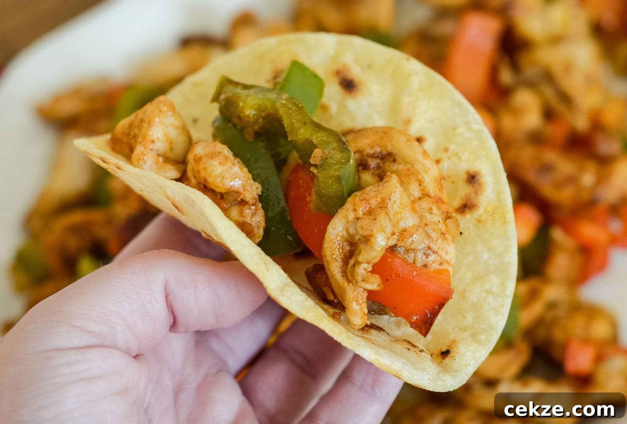 Tortillas for Fajitas