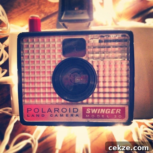 polaroid swinger NoBiggie.net